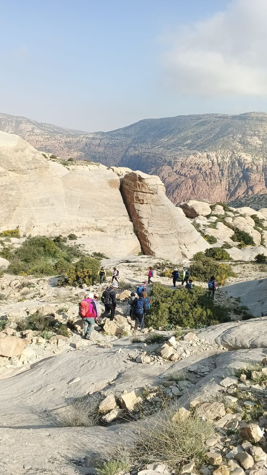 Guided Hiking Tours
